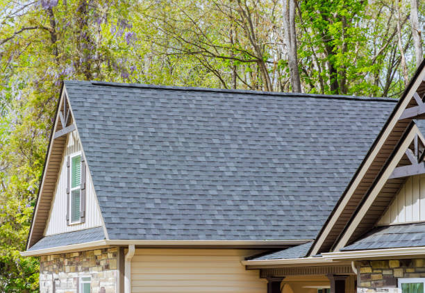 Best Roof Moss and Algae Removal  in Stickney, IL