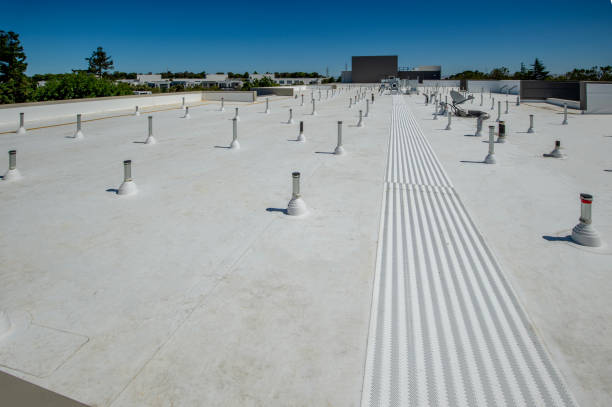 Best Wood Shake Roofing  in Stickney, IL